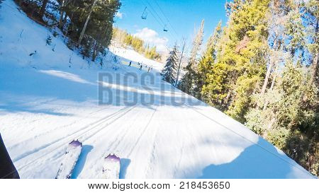 Alpine Skiing