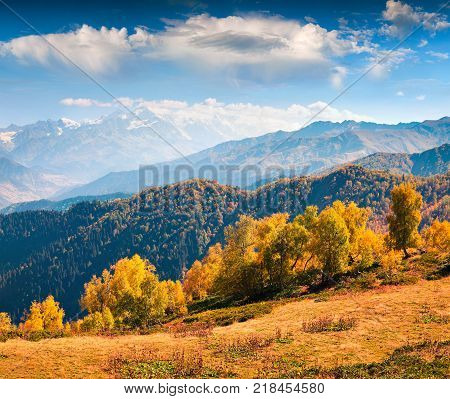 Colorful morning in the Caucasus mountains. Sunny autumn scene on the Mt. Mkheer foothills Upper Svaneti Georgia Europe. Artistic style post processed photo.