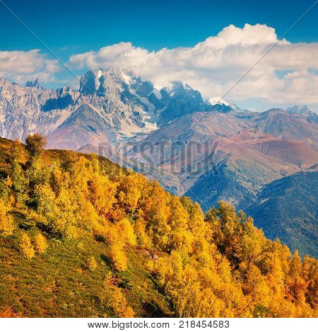 Colorful autumn landscape in the Caucasus mountains. Sunny morning scene with mountain Ushba on the background. Mkheer Svaneti Georgia Europe. Artistic style post processed photo.