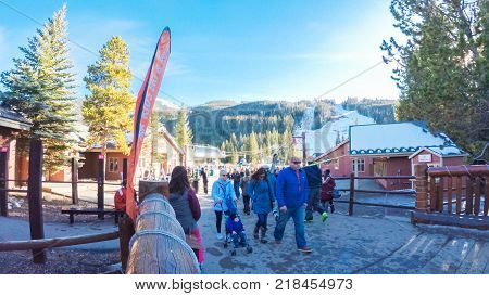 Alpine Skiing