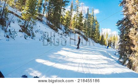 Alpine Skiing