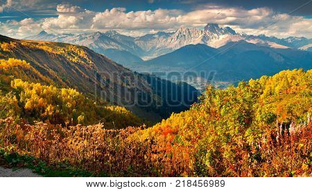 Colorful autumn landscape in the Caucasus mountains. Sunny morning scene with mountain Ushba on the background. Mkheer Svaneti Georgia Europe. Artistic style post processed photo.