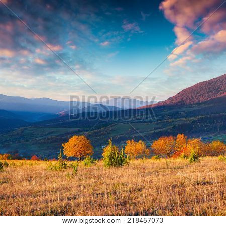 Splendid autumn scene in the mountain village. Colorful morning landscape in Carpathians Ukraine Europe. Artistic style post processed photo