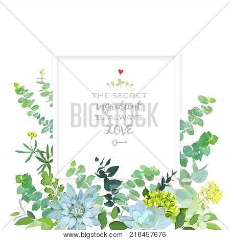 Herbal mix square vector frame box. Hand painted plants, branches, leaves, succulents and flowers on white background. Echeveria, eucalyptus, green hygrangea, brunia.Natural card.Isolated and editable.