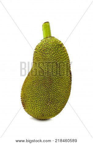 Jackfruit fresh an isolated on white background