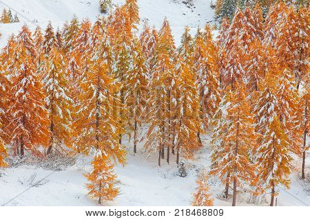 Mountain near Campitello di fassa Dolomites Alps Italy