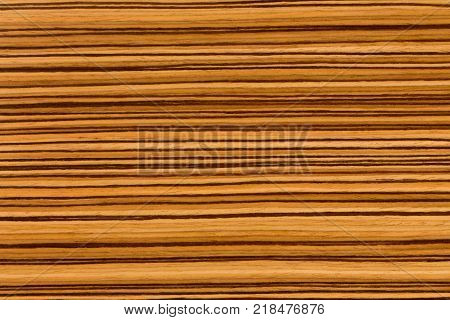 Natural African Zingana zebrano wood texture. Extremely high resolution photo.