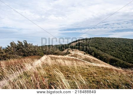 Male Jaslo hill with mountain meadow shrubs and hill on the background with forest and meadow in Biesczady mountains above Cisna village in southeastern Poland near borders with Slovakia