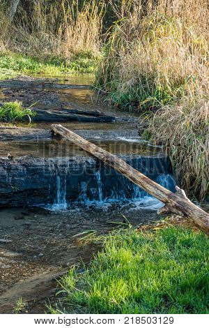 A view of a stream at Seahurst Park in Burien Washington.