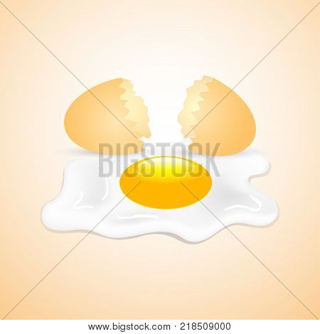 broken egg resulting from shell isolated on a light background