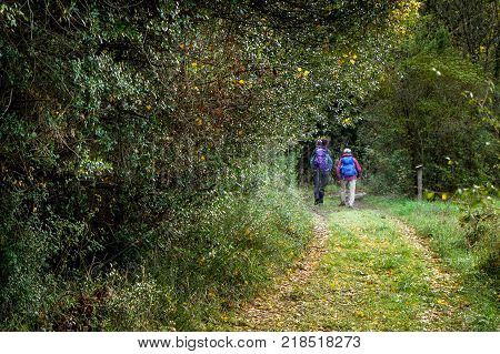 Montecatini Val Di Cecina, Pisa, Italy - November 7, 2017: It Is An Itinerary In The Monterufoli Nat