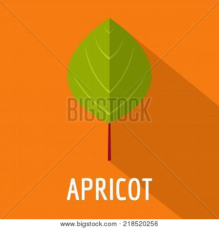 Apricot leaf icon. Flat illustration of apricot leaf vector icon for web
