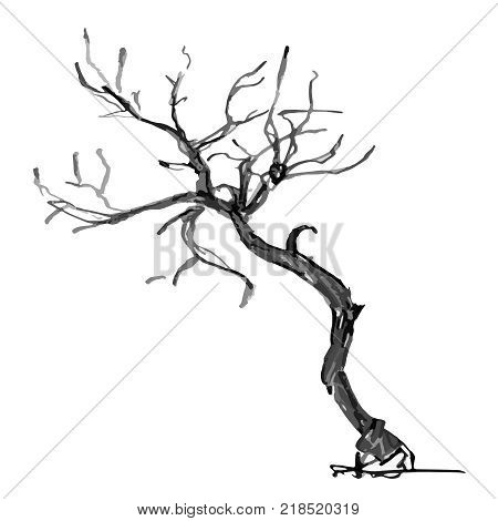 Hand drawn black tree without leaves isolated on white background. Branches of small plant on vector illustration. Simple gray sketch.