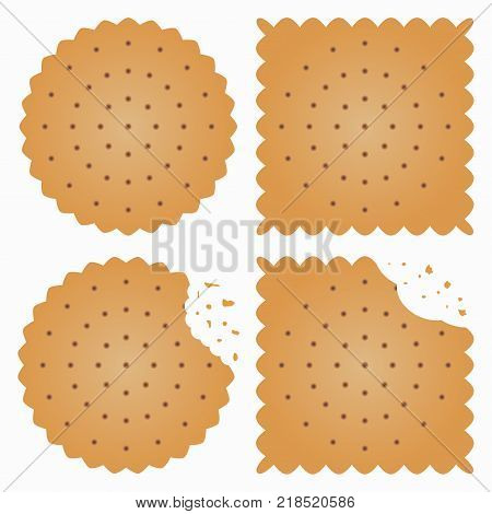 Biscuit, cracker with bite marks and crumbles. Vector illustration.