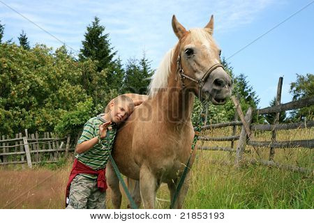 Мальчик и лошадь