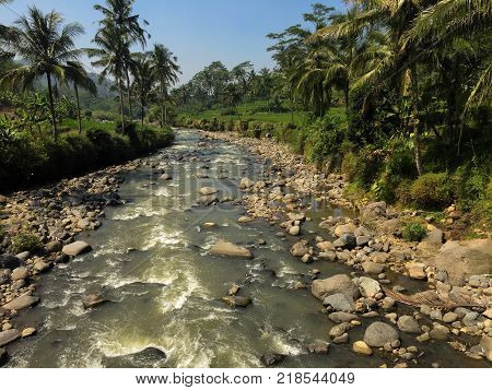 Beautiful view out of an river in the middle of the jungle.