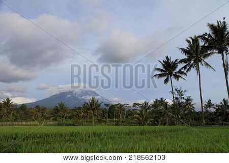 Merapi volcano landscape, Java, Indonesia. View of Merapi volcano