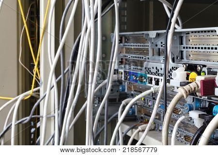 ethernet cables connected to switch close up