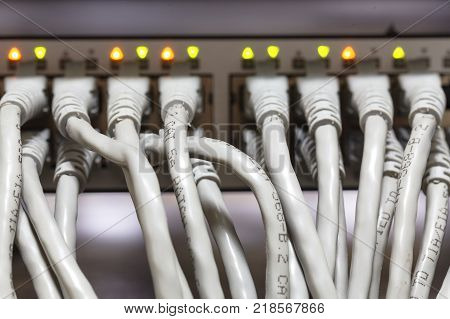 many ethernet cables connected to switch, close up