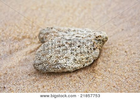Pezzi di corallo sulla spiaggia 2