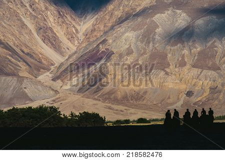 Silhouette image of camels caravan in the Hunder desert Nubra valley India