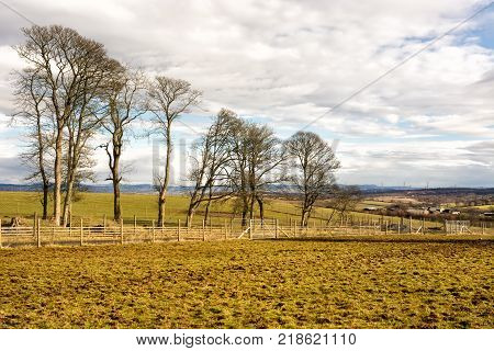 Farmland near Beecraigs Country Park in West Lothian Scotland