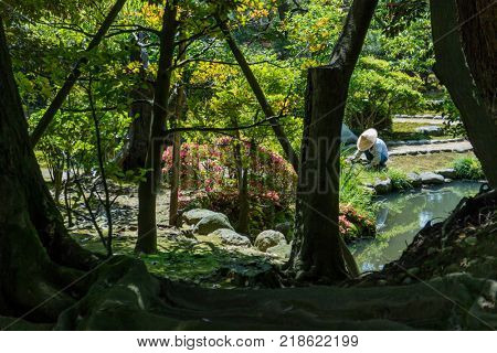 Kanazawa - Japan, June 9, 2017: Gardener working in the Gyokuseninmaru Garden at Kanasawa castle in springtime 