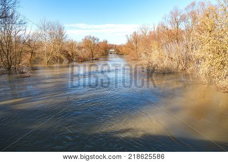 The river after the downpours came out of the banks. Flooding of river bank, trees after flood