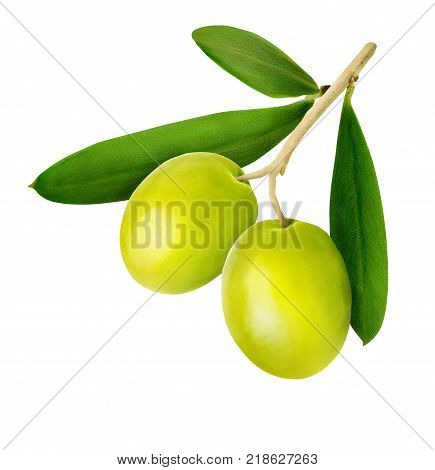 Fresh olive with green olives isolated on white background. Clipping path. Macro photography with great depth of field. DoF .