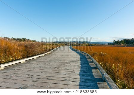 Boardwalk through saltmarsh nature area under blue sky.