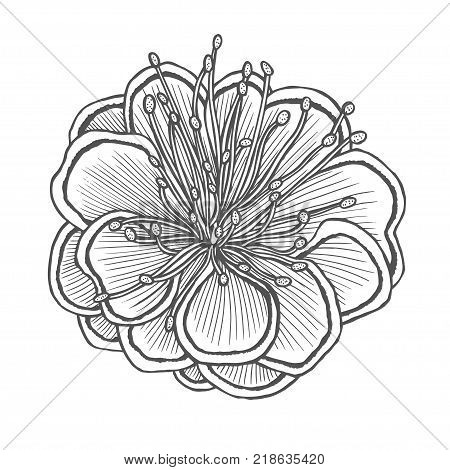 F illustration, line pattern. Vector artwork. Coloring book page for adult. Love bohemia concept for wedding invitation card, ticket, branding, boutique logo, label. Gift for girl and women