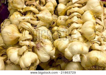 Garlics