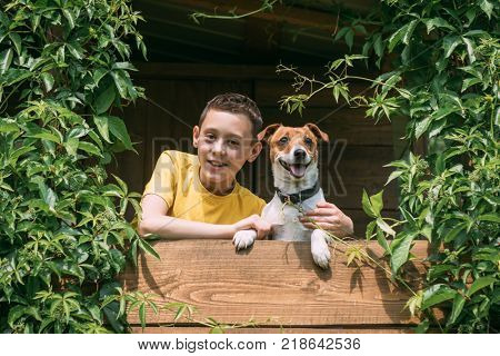 Smiling boy with dog on treehouse. Summer time! Childhood concept