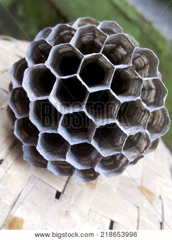 close up hexagonal bee hive on the woven bamboo