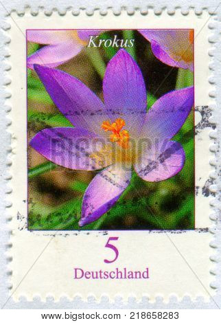 GOMEL, BELARUS, 15 DECEMBER 2017, Stamp printed in Germany shows image of the Krokus, circa 2017. 