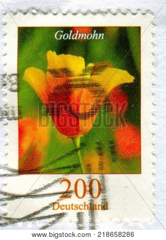 GOMEL, BELARUS, 15 DECEMBER 2017, Stamp printed in Germany shows image of the Goldmohn, circa 2017. 