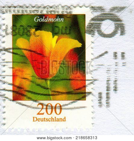 GOMEL, BELARUS, 15 DECEMBER 2017, Stamp printed in Germany shows image of the Goldmohn, circa 2017.