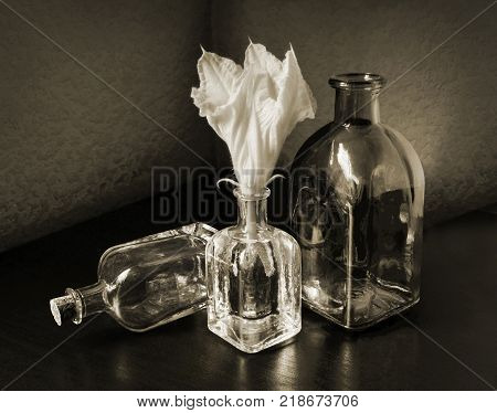 Cucurbita flower and three small vintage glass botlles. Low key still life in sepia tone. Choose a focal point copy space for write..
