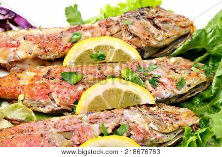 Grilled red fish with lettuce and lemon