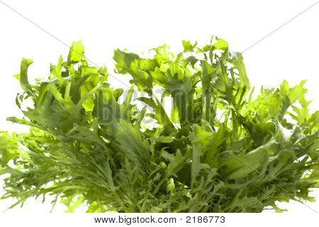 Ensalada verde