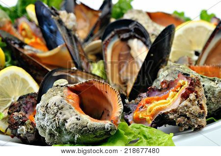 Mussels and shells seafood with lettuce and lemon