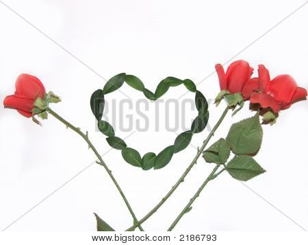 Cuore di foglia con tre rose