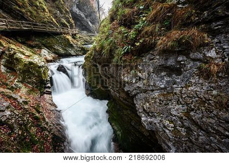 Soteska Vintgar, The Vintgar Gorge Or Bled Gorge In Slovenia.