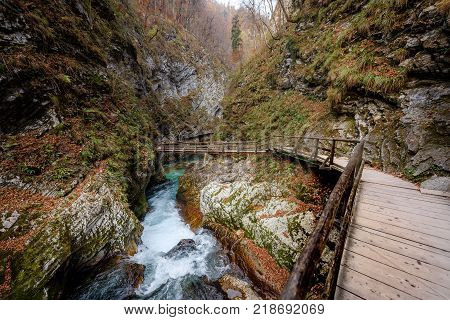 Soteska Vintgar, The Vintgar Gorge Or Bled Gorge In Slovenia.