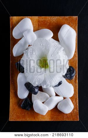 On a black background there is a small wooden board with a small burning candle, a bud of a white beautiful flower and a multiform pebble, for spa treatments. Close-up. View from above.