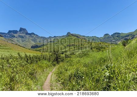 Path, walk to Thukela waterfall in Royal Natal Park Drakensberg mountain, South Africa