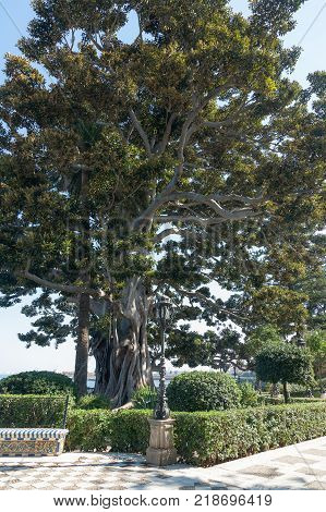 view of beautiful spanish public park with trees