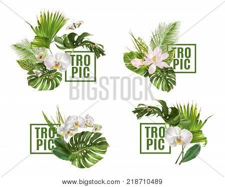 Vector botanical horizontal banners set with tropical leaves orchid flowers on white. Design for cosmetics, spa, health care products, travel company. Can be used as summer background