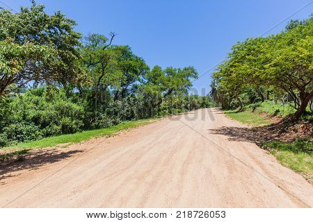 Rural Dirt Road Tropical