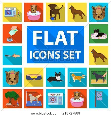 Pet flat icons in set collection for design. Care and education vector symbol stock illustration.